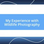 My Experience with Wildlife Photography