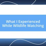 What I Experienced While Wildlife Watching